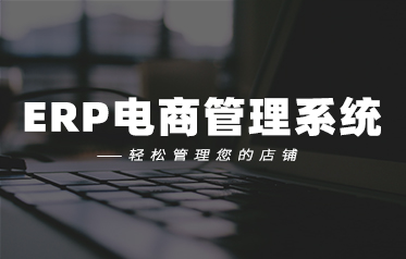 ERP̹ϵy(tng)